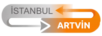 Gemini_Generated_Image_30iu6u30iu6u30iu-removebg-preview