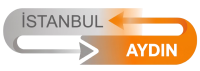 Gemini_Generated_Image_hemfgshemfgshemf-removebg-preview (1)