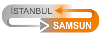 Gemini_Generated_Image_vf19evvf19evvf19-removebg-preview
