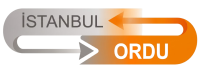 Gemini_Generated_Image_w4o0aww4o0aww4o0-removebg-preview